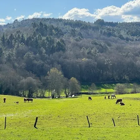 Casa De Emilio * Artono