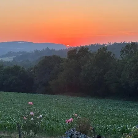 Casa De Emilio Nyaraló Artono